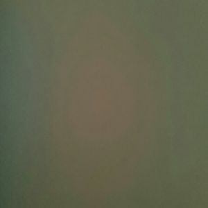 Meet your Posher, Makayla