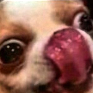 Meet your Posher, Cj