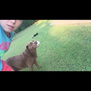 Meet your Posher, Alyssa