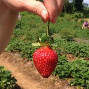 Meet your Posher, Sarah