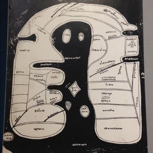 Meet your Posher, Carly