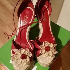 Cute charles David wedges