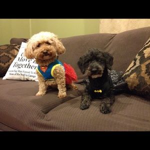 Meet your Posher, Christine