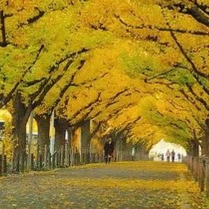 Meet your Posher, Shirley