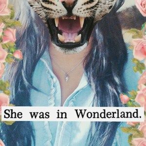 Meet your Posher, Jocelyn