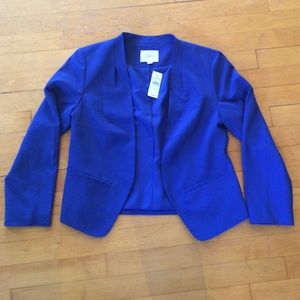 Loft blue blazer