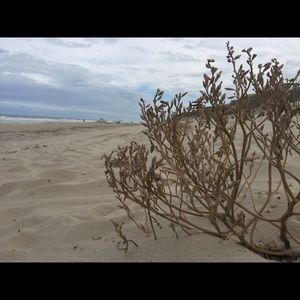 Meet your Posher, Ryanna