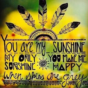 Meet your Posher, Ann