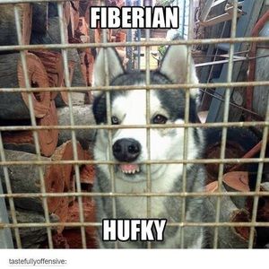 Meet your Posher, Deanna