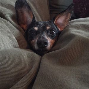 Meet your Posher, Alyssa