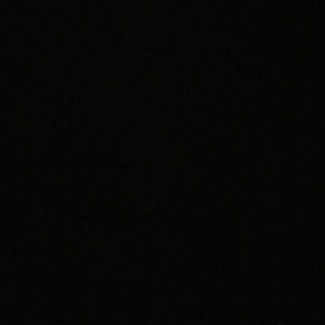 Meet your Posher, Allie