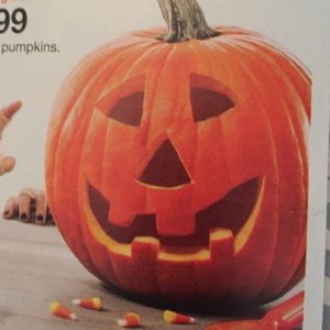 Meet your Posher, Jenn