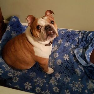 Meet your Posher, Karen