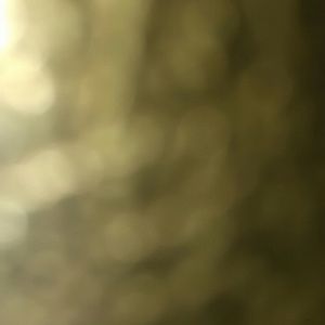 Meet your Posher, Vicky