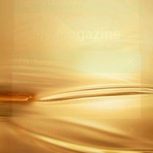 Meet your Posher, Gigi