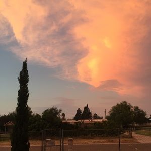 Meet your Posher, Mickey