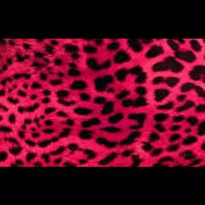 Meet your Posher, Jonae