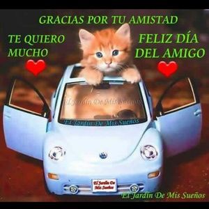 Meet your Posher, Omayra