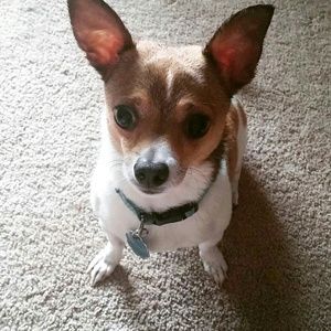 Meet your Posher, Amber