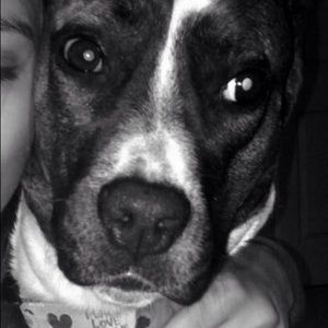 Meet your Posher, Dani