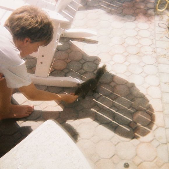 Meet your Posher, Paula - Picture 1 of 1