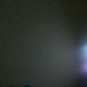 Meet your Posher, Kenzie