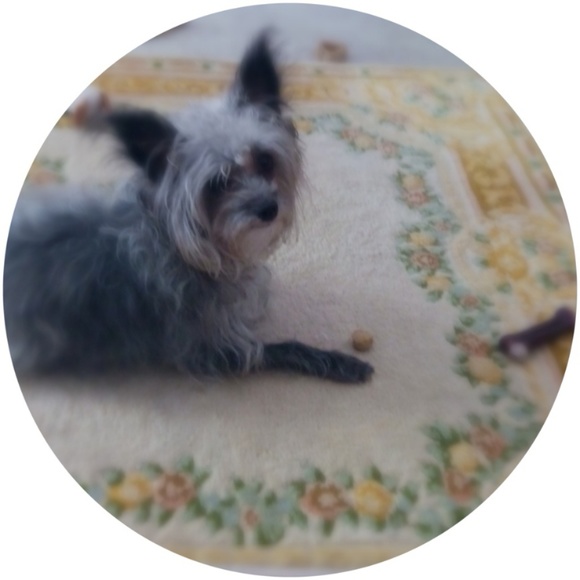 Meet your Posher, Sandra - Picture 1 of 1