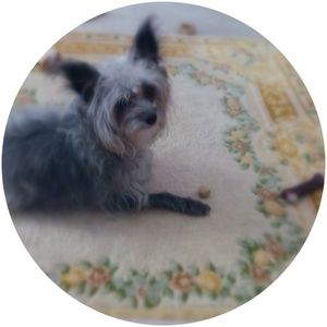 Meet your Posher, Sandra