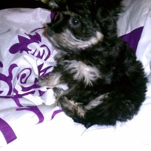 Meet your Posher, Robyn