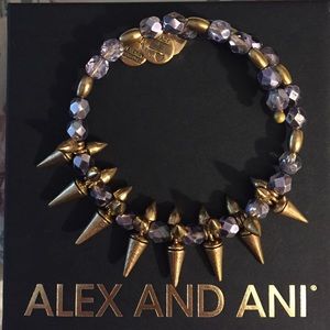Alex and Ani Prism Rock & Raw bangle