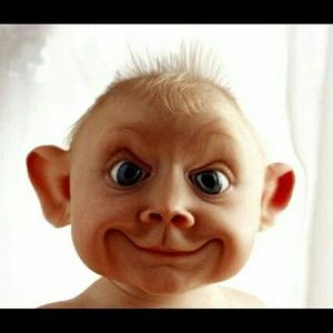 Meet your Posher, Timothy