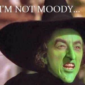 Meet your Posher, Terri