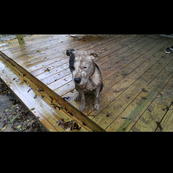 Meet your Posher, Mar