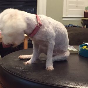 Meet your Posher, Shenna