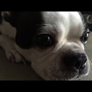 Meet your Posher, Brenda