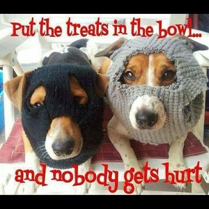 Meet your Posher, Gail