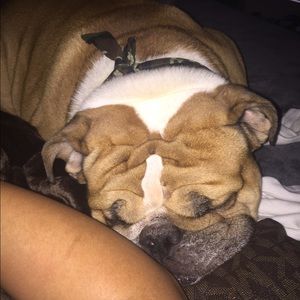 Meet your Posher, Maria