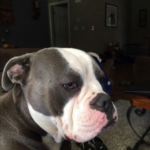 Meet your Posher, Natalie