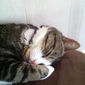 Meet your Posher, Luanna