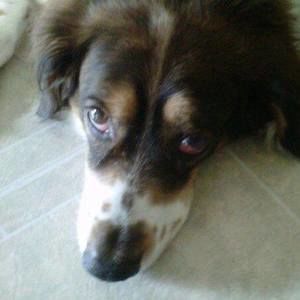 Meet your Posher, Sharon