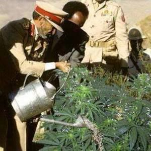 Meet your Posher, Avril