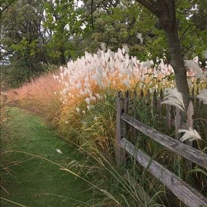 Meet your Posher, Krystal