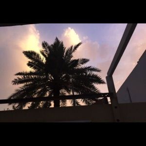 Meet your Posher, Cory