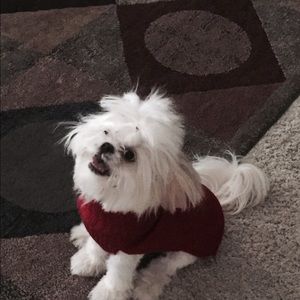 Meet your Posher, Sandy