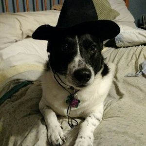 Meet your Posher, Lydia