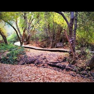 Meet your Posher, Gabby