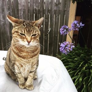 Meet your Posher, Stef