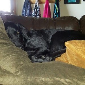 Meet your Posher, Svea