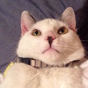 Meet your Posher, Brenna