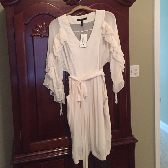 Bcbgmaxazria gardenia sheer dress